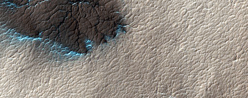 Classic Spider Terrain in Region Dubbed Manhattan