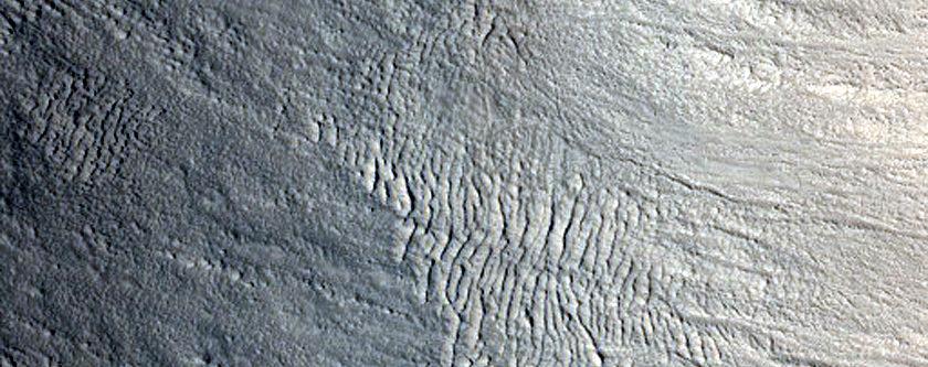 Monitor Gullies on Northern Hemisphere Crater Wall
