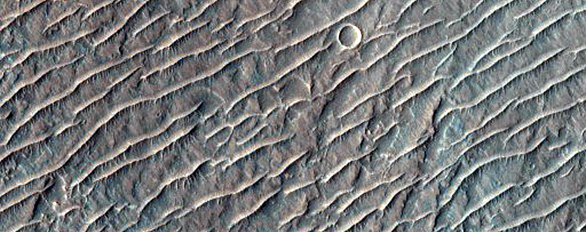 East Melas Chasma Floor Deposits