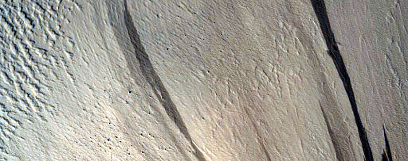 Slope Streaks in Olympus Mons Aureole