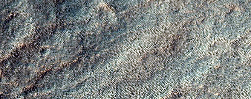 Layers on Floor of Southern Mid-Latitude Crater