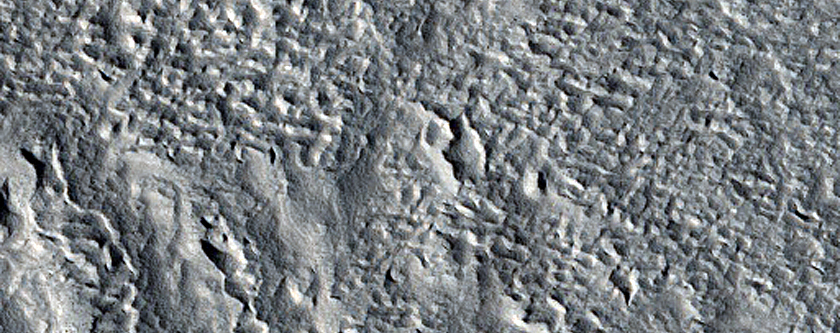 Mid-Latitude Crater with Concentric Ridges in Ejecta