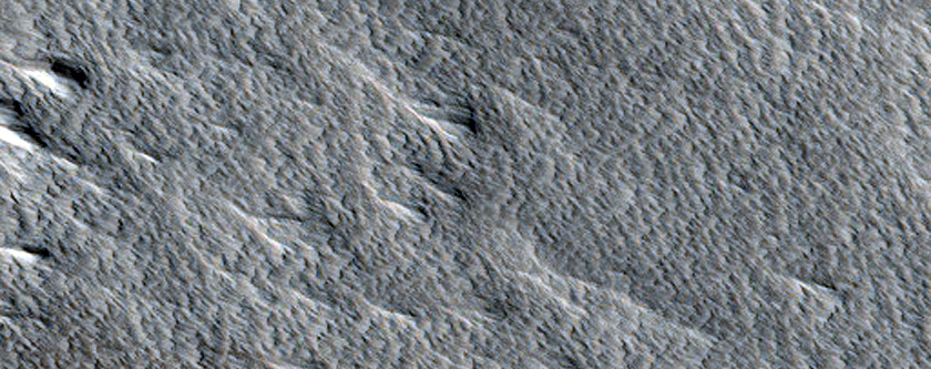Olympus Mons Terrain Sample
