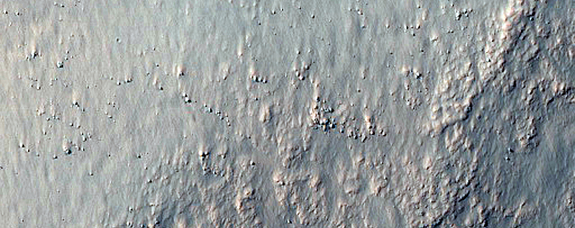 Branched Channel on Wall of Mid-Latitude Southern Crater