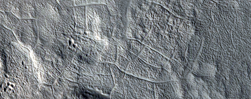 Brain Terrain in Protonilus Mensae