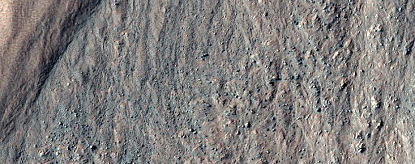 Gullies in Nereidum Montes