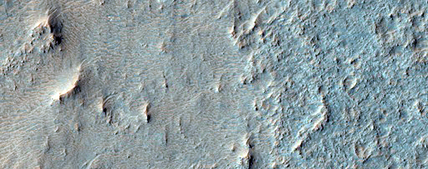 Possible Olivine Detection on Crater Floor