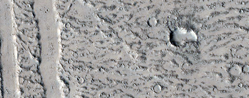 Channels in Phlegra Region