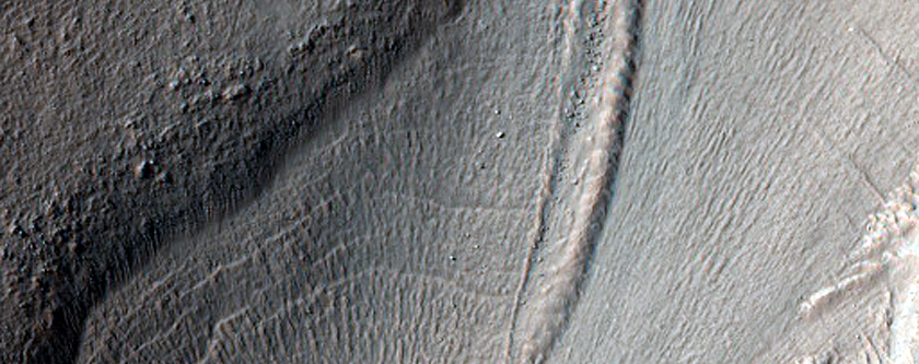 Lobate Flow Feature within Channel in Nereidum Montes