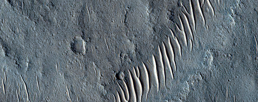 Terrain Sample