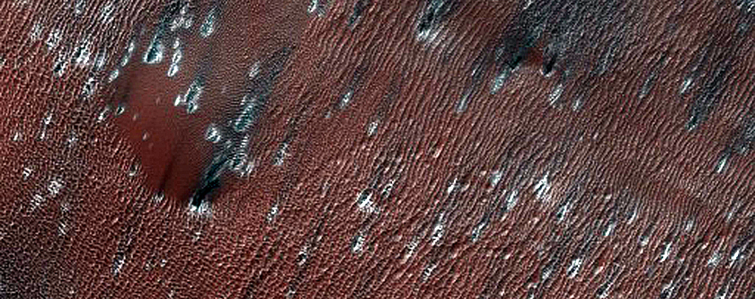 USGS Dune Database Entry Number 1767-741