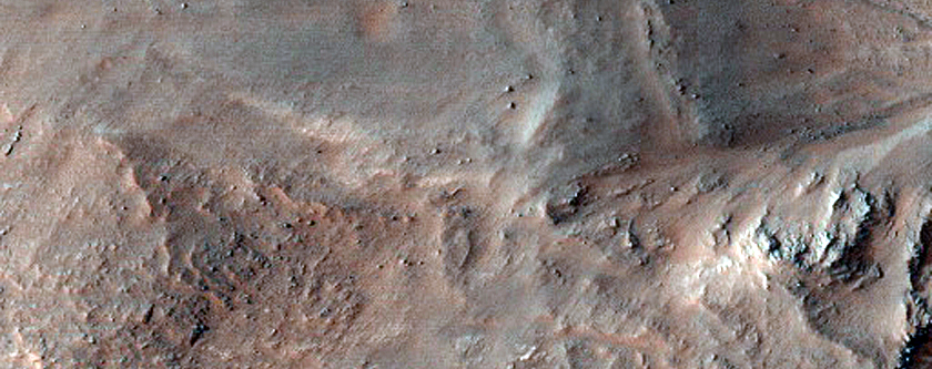 Gullies in Southern Mid-Latitude Crater