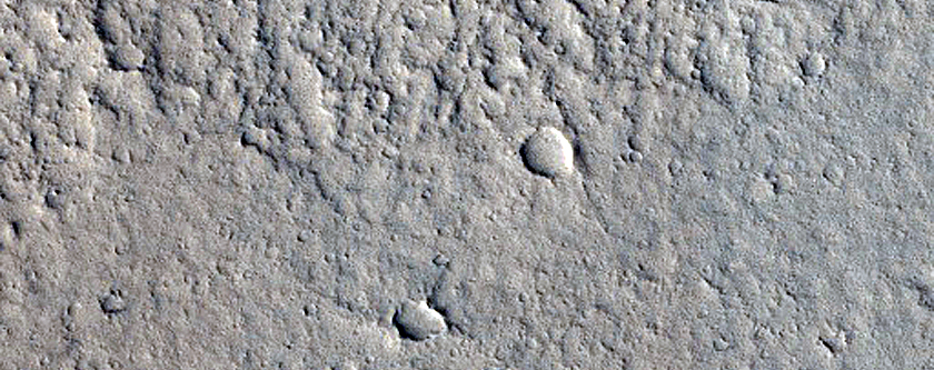 Rings and Cones in Sacra Sulci