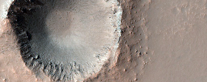 Fresh Crater