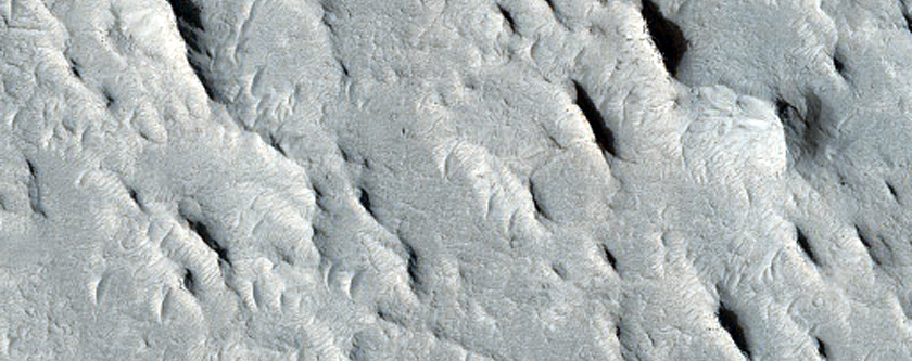 Curved Ridges in Aeolis Planum