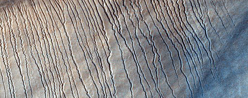 Dunes with Linear Gullies in Hellas Planitia