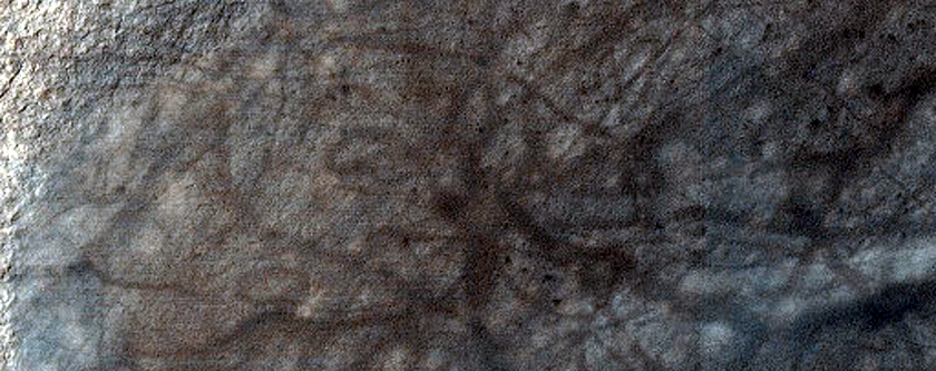 USGS Dune Database Entry Number 1101-696