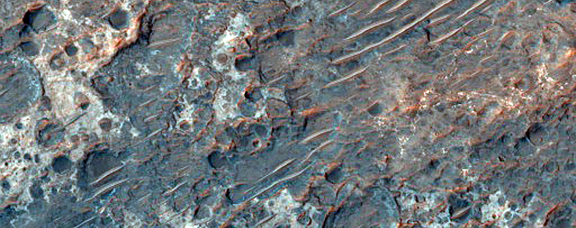 Floor of Crater in Hesperia Planum