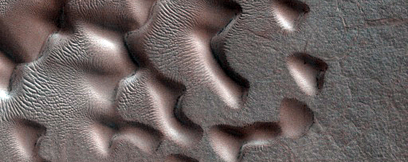 Dune Monitoring in Crater
