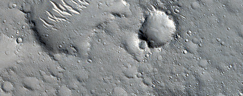 Pits in Elysium Planitia