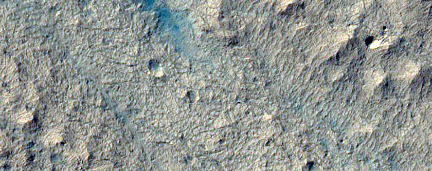 Active Dunes Emerging from South Polar Layered Deposits Scarp