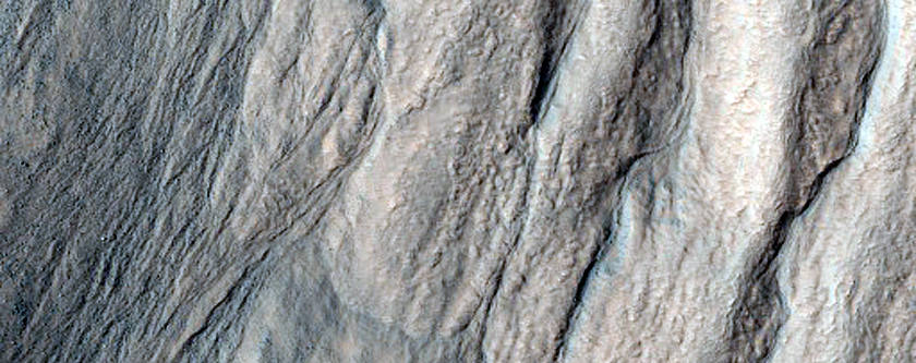 Gullies in Crater in Nereidum Montes