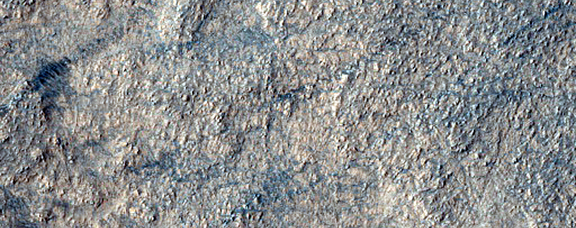 Ridge Network in Hellas Planitia