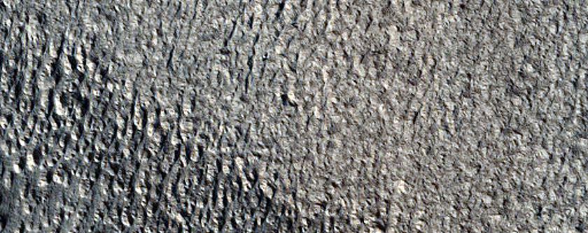 Hills and Lobate Flows in Phlegra Montes