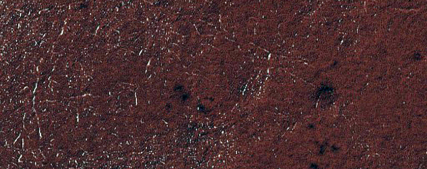South-Facing Scarp North of Australe Lingula