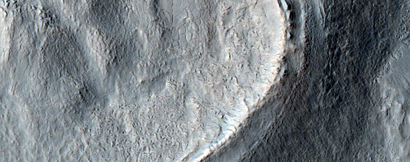 Tongue-Shaped Flows and Gullies in Terra Cimmeria