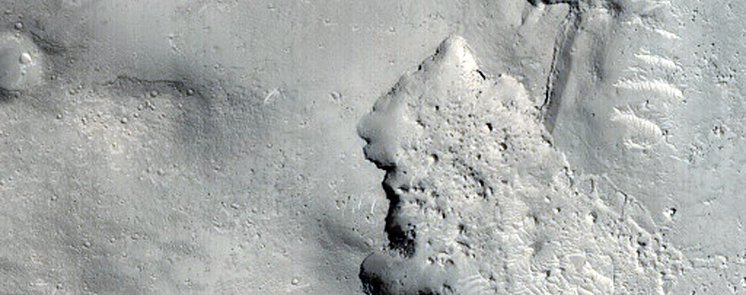 Landslides in Elysium Planitia