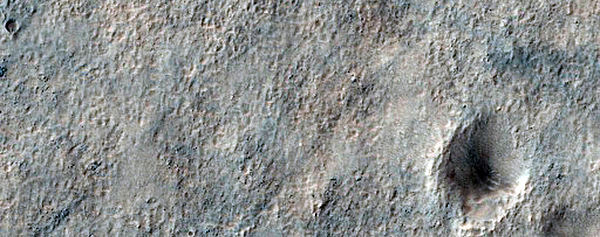 Argyre Planitia Secondary Crater Fields