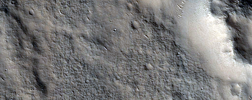 Rifted Cones in Utopia Planitia