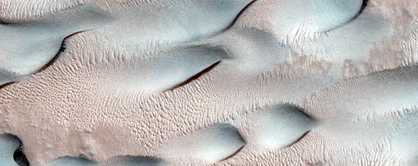 Dune Monitoring in Lyot Crater