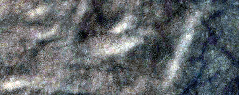 USGS Dune Database Entry Number 1195-706