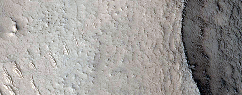 Layers on Floor of Depression in Protonilus Mensae