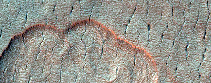 Scalloped Depressions in Utopia Planitia