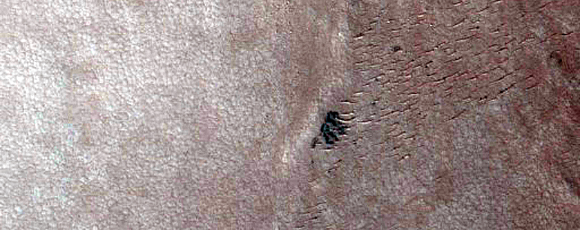 Dune Monitoring in Kunowsky Crater