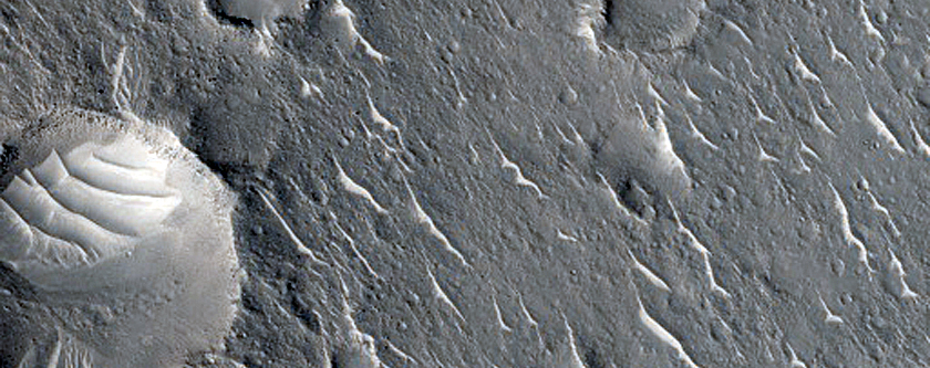 Ejecta and Rays Associated with Crater on Isidis Planitia