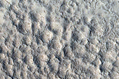 Well Preserved Crater on Alba Mons