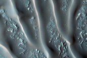 Northern Mid-Latitude Dune Monitoring
