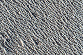 Candidate Recent Impact Site
