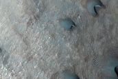 Dune Monitoring in Lyot Crater