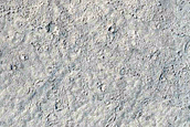 Monitoring Dust Devil Tracks in Marte Vallis