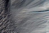 Monitor Frost in Corozal Crater