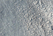 Smooth Regions in Phlegra Montes