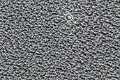 Small Ice-Filled North Polar Layered Deposits Crater