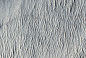 Monitoring Dust Devil Tracks in Minio Vallis