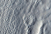 Head of Mamers Valles