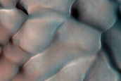 Dune Monitoring in Impact Crater